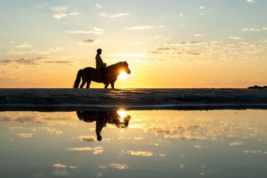 Clases de equitación en Madrid: precios, niveles y qué necesitas